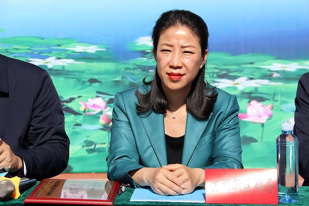 衡水之声,播音稿里的城市画卷