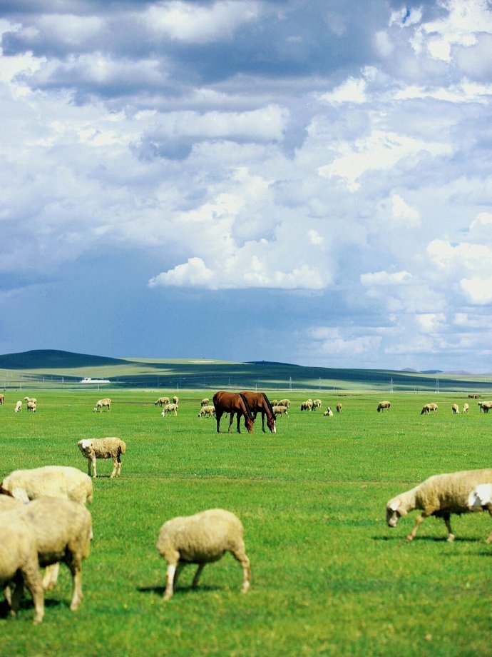 呼伦贝尔,草原的诗情画意天堂